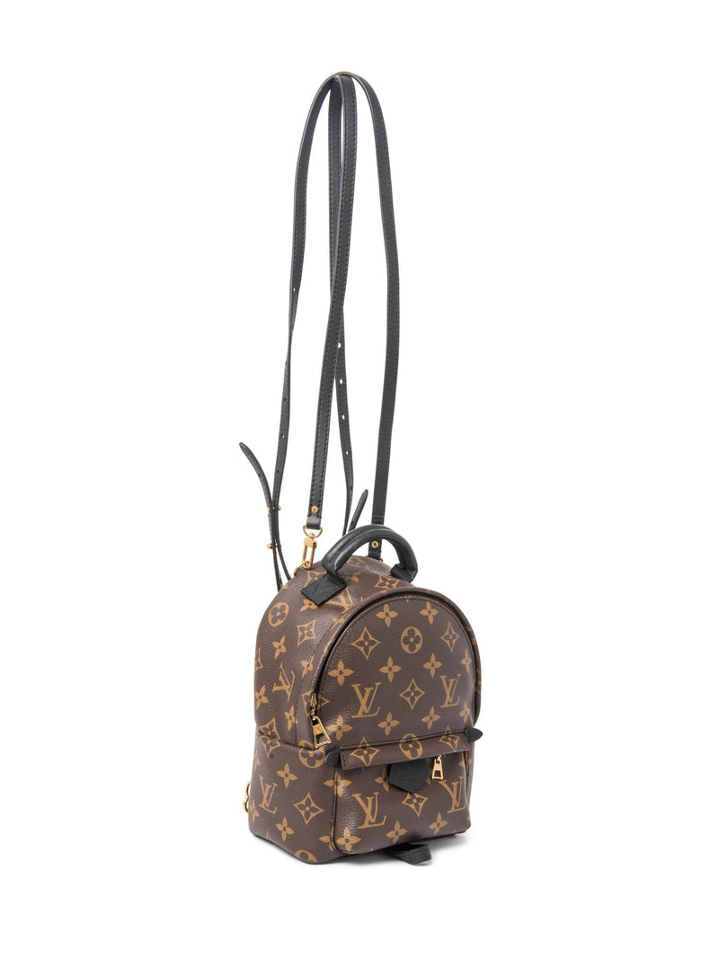 Louis Vuitton Monogram Palm Springs Mini Backpack Brown Black-designer resale