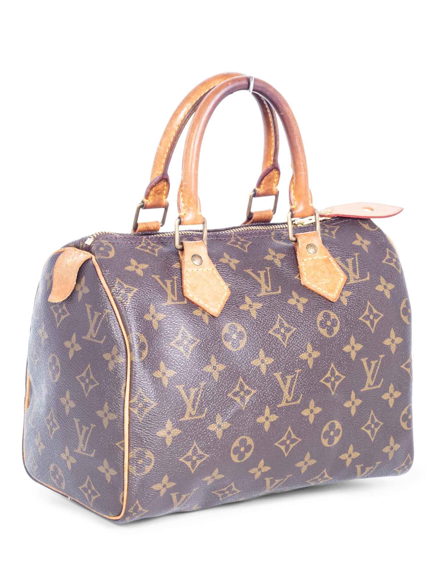 The Ultimate Guide to the Louis Vuitton Speedy Bag - Handbagholic