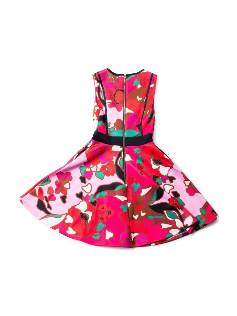 Ted Baker Floral Pleated A-Line Dress Pink Multicolor-designer resale