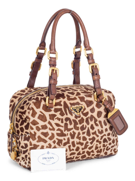 Prada Brown Printed Calf Hair & Red Ostrich Chain Bag QNBHIA3PMB001